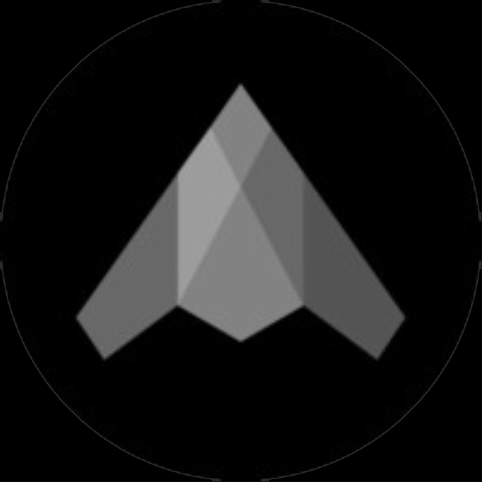 Stealth Logo